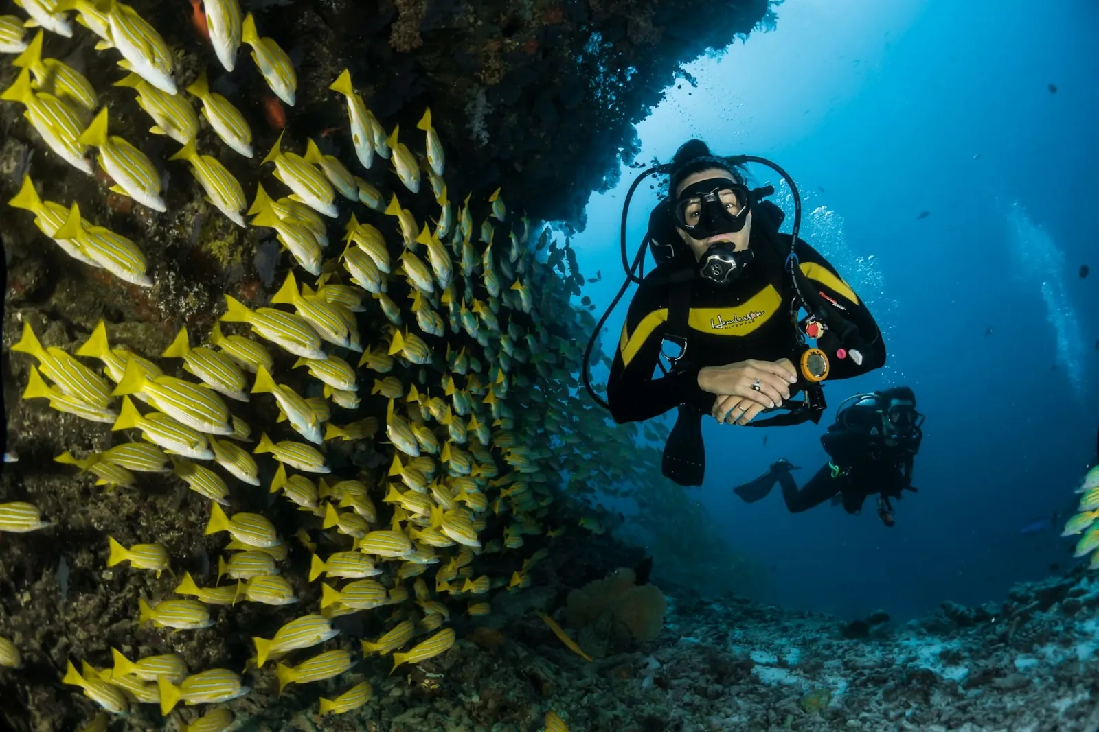 Diver among a school of fish in the Caribbean
